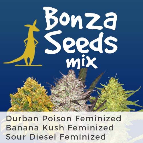 Bonza Seeds Mix Strain