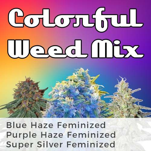 Colorful Weed Mix Strain