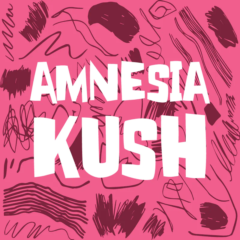 Amnesia Kush Autoflower Strain