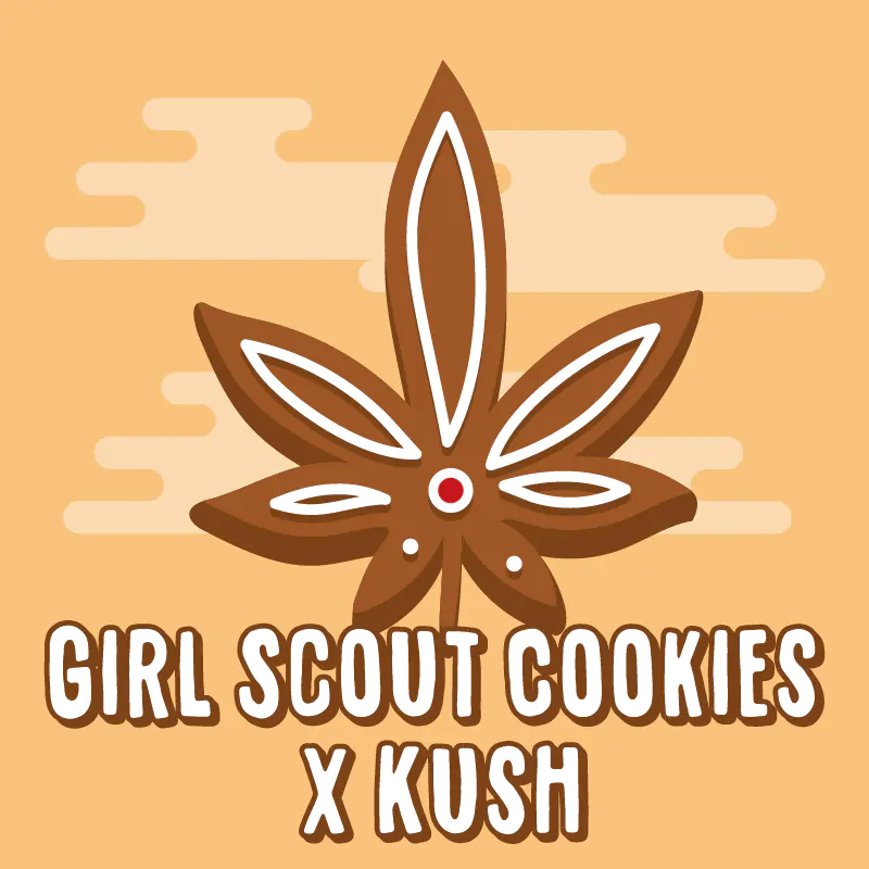 Girl Scout Cookies x Kush Strain