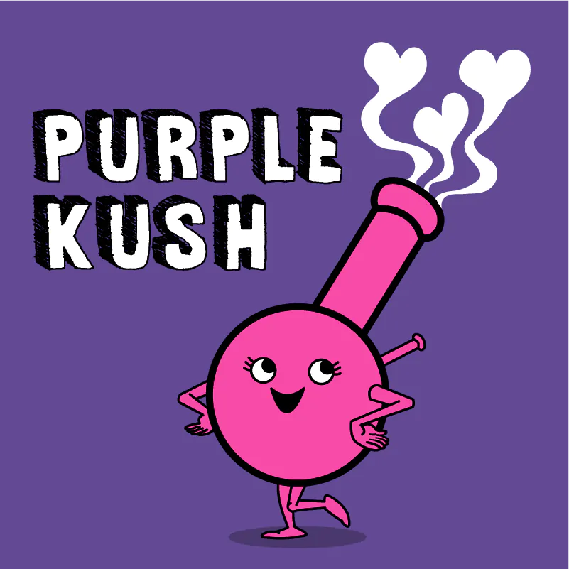 Purple Kush Autoflower Strain