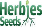 Blue Sherbet S1 Strain (The Plug Seedbank Seeds) 6 seeds