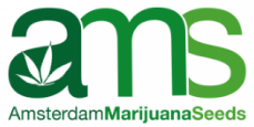 Medijuana Regular Strain