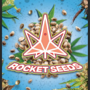 CBD Diesel Strain (Rocketseeds) 5 Seeds